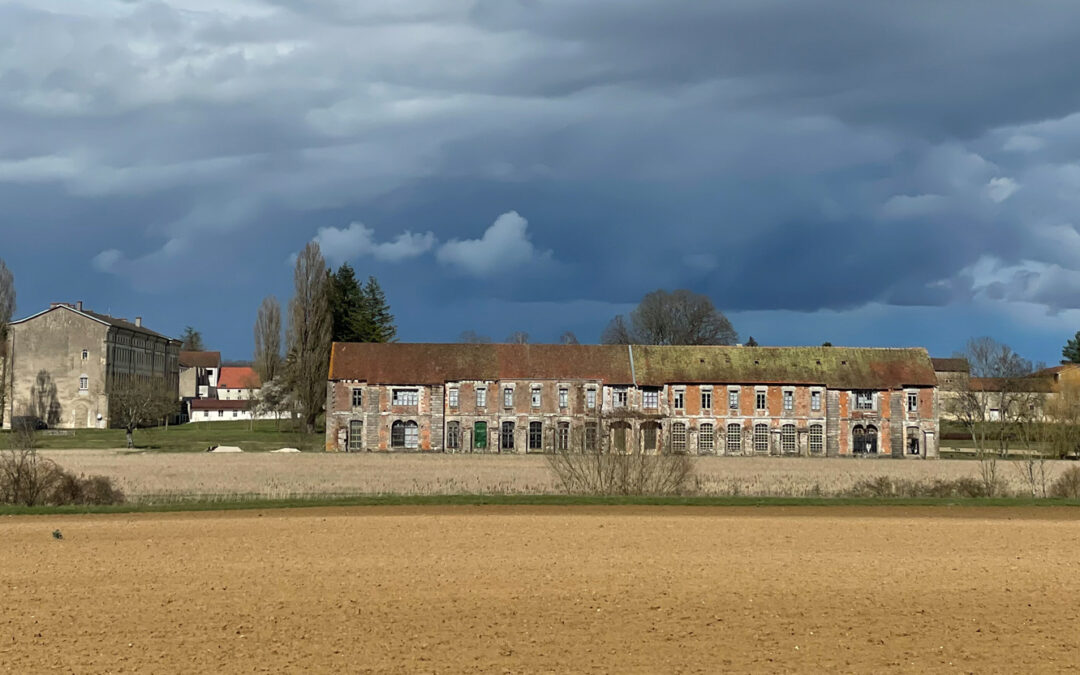 1.000 Käse sollen Klostermauern in Citeaux stopfen